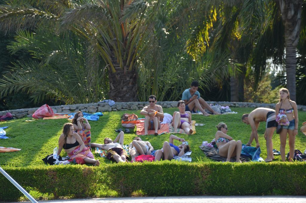 Happy Camp Mobile Homes In Camping Village La Masseria ガリポリ エクステリア 写真